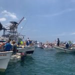 photo_5082438971673390295_y