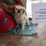 WhatsApp Image 2024-10-09 at 3.21.47 PM (1)