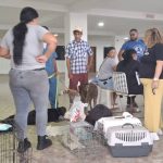 WhatsApp Image 2024-10-09 at 3.21.48 PM (1)