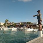 photo_5008186803966029795_y