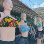 photo_5037697927983771715_y