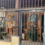 photo_5040013993393108702_x