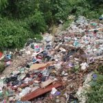 photo_4920661138614628172_y