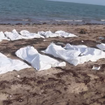 QLGWDDQWG5LXBHT6BQW5WXOZ2E