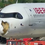 un-buitre-impacta-avin-de-iberia-en-pleno-vuelo-y-obliga-a-un-aterrizaje-de-emergencia-en-barajas-Sin-nombre