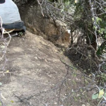 Captura de pantalla 2026-03-23 a la(s) 11.36.51 a. m.