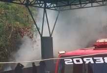 Bomberos extinguen incendio en las adyacencias del Evelia Pimentel